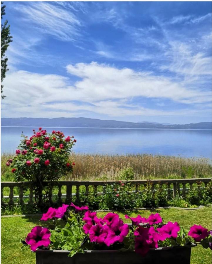 Villa Stefan Ohrid Exteriör bild